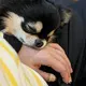 ヘッポさんのアイコン