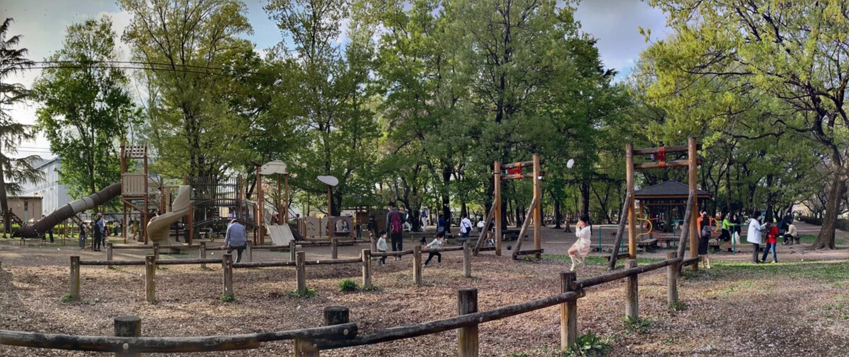 こぱのプロフィール すんで