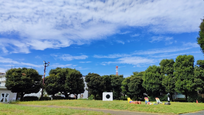 北浦和公園は、今日も平和です🌳