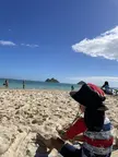 ねりぽんさんのアイコン